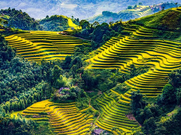 Hotspot Matrix và việc quản lý nội dung trong lĩnh vực dược