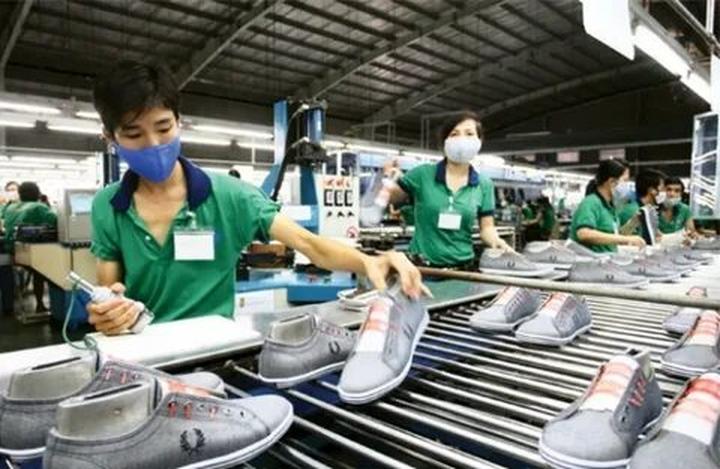 Loại cá được khen 