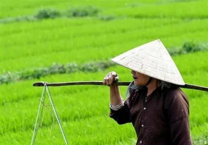 Khởi nghiệp Video Ngắn: Hotspot Matrix - Cánh cửa thành công mở rộng