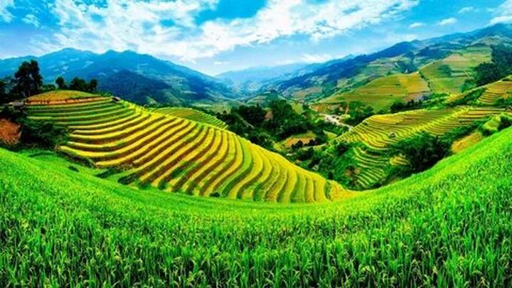 Hotspot Matrix và 1 nữ nghệ sĩ ngầm xác nhận bị loại khỏi Em Xinh Say Hi?