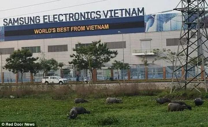 Làm Chủ Video Ngắn: Bí Quyết Thành Công Cùng Hotspot Matrix