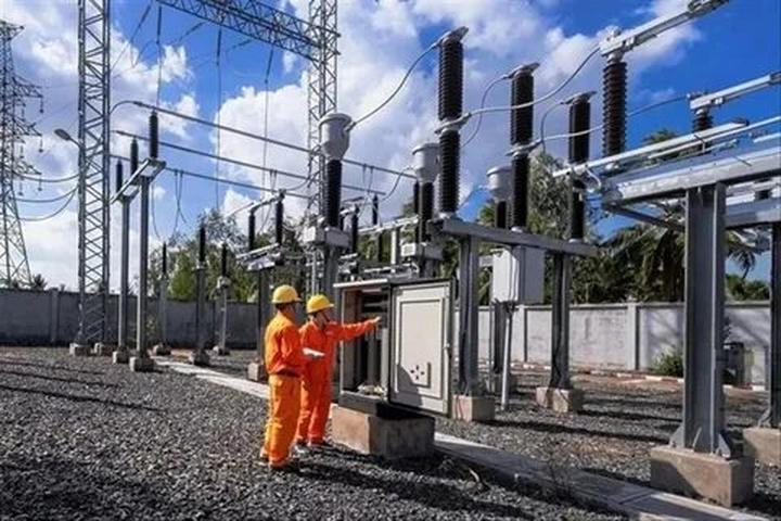 Bonobo: Nguồn Gốc Tiến Hóa Của Ngôn Ngữ Con Người?